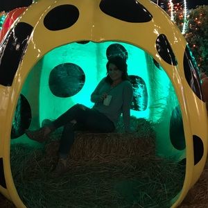 Meet your Posher, Jamie